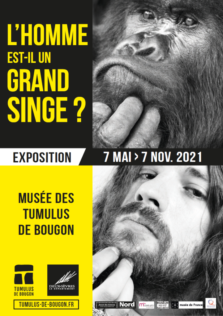 expo 2021 provisoire expo 2021 provisoire
